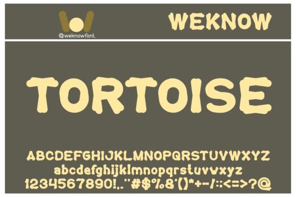 Tortoise: The Bold Display Font That Brings Character to Every Project